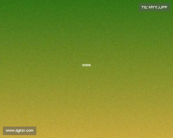 双败赛是什么 双败赛是什么