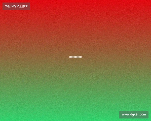 金泰网络科技有限公司